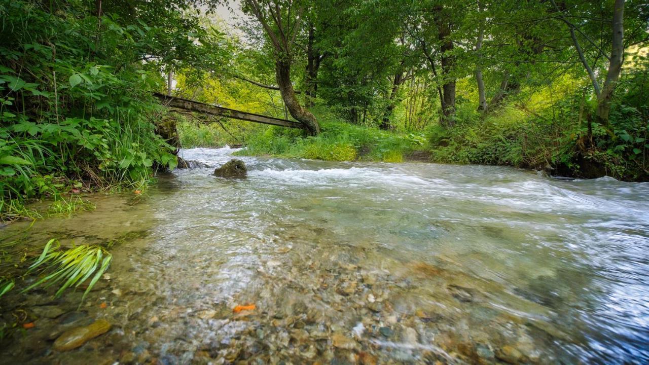 סטאציונה קלימטריקה סמבטה River Residence Chalet מראה חיצוני תמונה